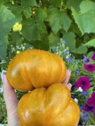 IMG_6089.jpeg