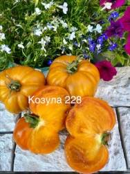 IMG_6090.jpeg