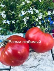 IMG_6091.jpeg