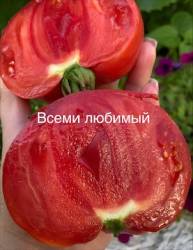 IMG_6092.jpeg