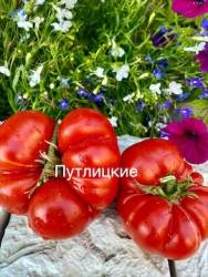 IMG_6093.jpeg