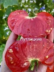IMG_6094.jpeg
