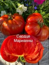 IMG_6096.jpeg