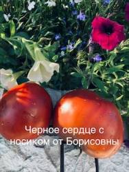 IMG_6097.jpeg