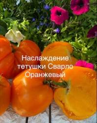 IMG_6101.jpeg