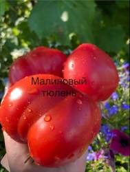 IMG_6102.jpeg
