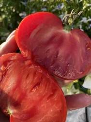 IMG_6103.jpeg