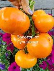 IMG_6108.jpeg