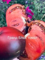 IMG_6109.jpeg