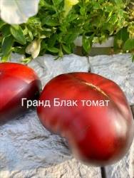 IMG_6110.jpeg