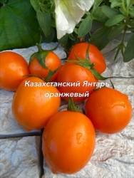 IMG_6111.jpeg