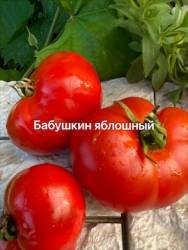 IMG_6112.jpeg