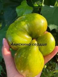 IMG_6113.jpeg