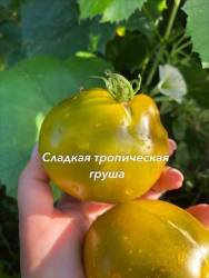 IMG_6118.jpeg