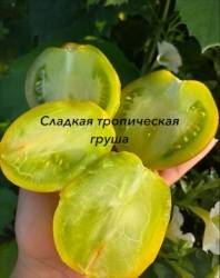 IMG_6119.jpeg