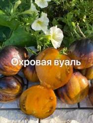 IMG_6120.jpeg