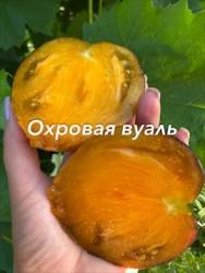 IMG_6121.jpeg