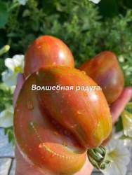 IMG_6122.jpeg