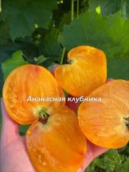 IMG_6125.jpeg