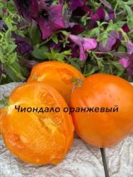 IMG_6127.jpeg