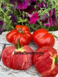 IMG_6128.jpeg