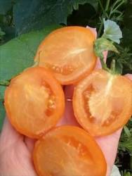 IMG_6129.jpeg