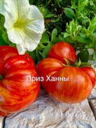 IMG_6130.jpeg