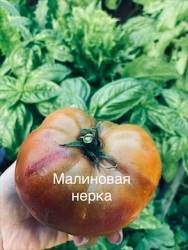 IMG_6131.jpeg