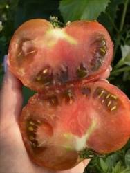 IMG_6132.jpeg