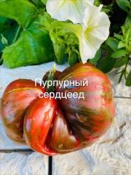 IMG_6133.jpeg