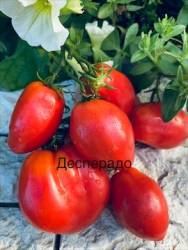 IMG_6134.jpeg