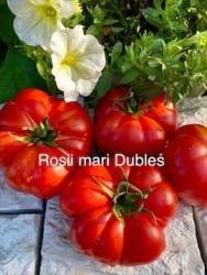 IMG_6137.jpeg