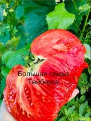 IMG_6139.jpeg