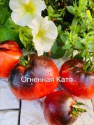 IMG_6140.jpeg
