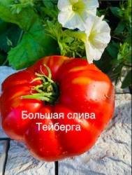 IMG_6144.jpeg