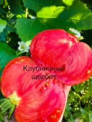 IMG_6146.jpeg