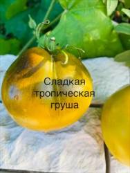 IMG_6147.jpeg