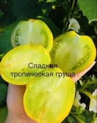 IMG_6148.jpeg