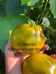 IMG_6149.jpeg