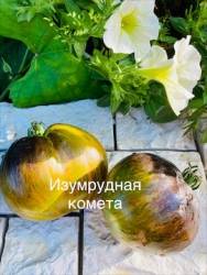 IMG_6150.jpeg