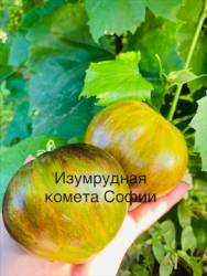 IMG_6151.jpeg