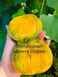 IMG_6152.jpeg
