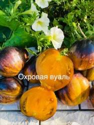IMG_6153.jpeg