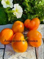 IMG_6157.jpeg