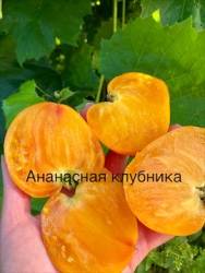 IMG_6158.jpeg