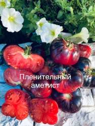 IMG_6159.jpeg