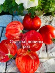 IMG_6160.jpeg