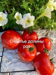 IMG_6161.jpeg