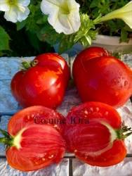 IMG_6166.jpeg