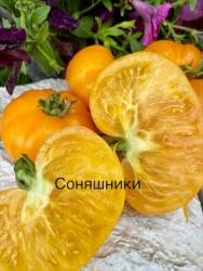 IMG_6168.jpeg